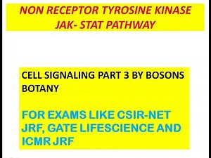 JAK-STAT Pathway | Non-receptor Tyrosine Kinase (NRTK) | Cell Signaling | Bosons Botany