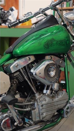 The ultimate bar hopper Shovelhead 🐸🐸 This is ridiculous and I love it