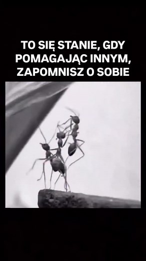 ✨ Kiedy ciągle pomagasz innym, łatwo zapomnieć o sobie… Ten film to przypomnienie, że warto zatroszczyć się w pierwszej kolejności o siebie . Dbaj o innych — ale nigdy własnym kosztem i ponad swoje siły. 🤍 👉 Obserwuj @galaktycznysukces , jeśli chcesz więcej takich krótkich, mocnych refleksji. #motywacja #rozwojosobisty #samopoczucie #spokój #samotnosc #drogadoszczęścia #galaktycznysukces | Galaktyczny Sukces