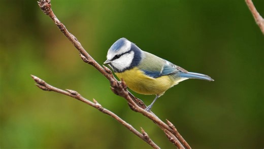 Is the Tamron 28-300mm f/4-7.1 Di III VC VXD the Ultimate Travel Lens?