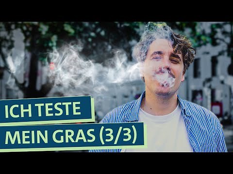 Wie gut ist mein Gras? Selbstexperiment Cannabis Anbau: Was muss ich beim Konsum beachten? (3/3)