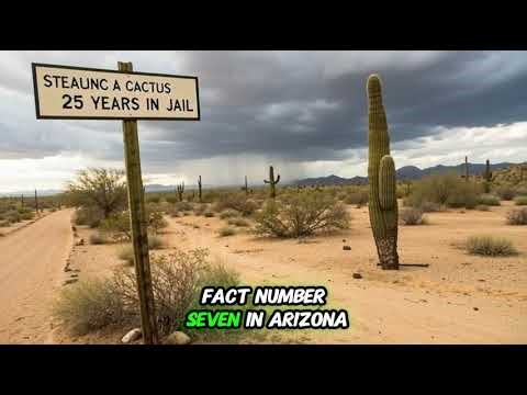 Most interesting facts about USA