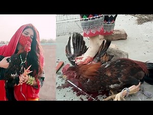 A Big Fighter Roaster 💪 slaughter by Girl😊|| Pre -Slaughter Vlog