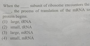 When the  subunit of ribosome encounters the , the process of ... | Filo
