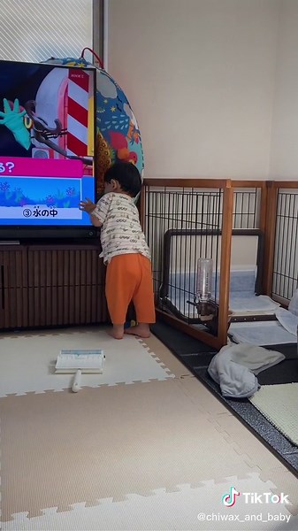 アヤトの育児：わーちゃんと一緒に成長