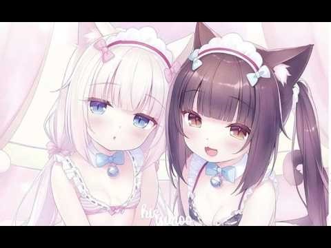 Nᴇᴋᴏᴘᴀʀᴀ (≡・x・≡)~🎀~