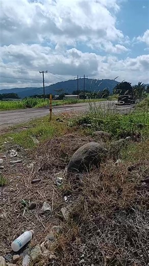 AM Noticias Digital de las Altas Montañas on Reels