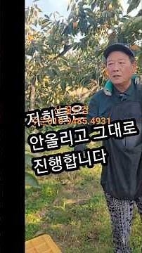 단감가격안올리고그대로진행합니다