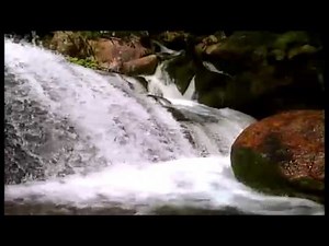 A Jesucristo ven sin Tardar Ray Robles