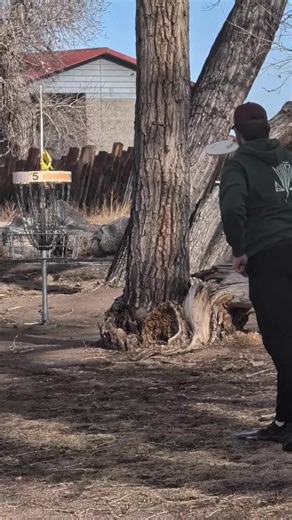 Mastering Birdie Putts with the Wizard Disc