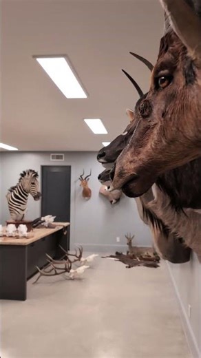 Shooting / Hunting Room