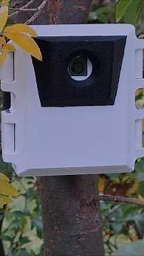Raspberry Pi zero mini AI Wildlife Monitor using the #RaspberryPi #AI #Camera!
