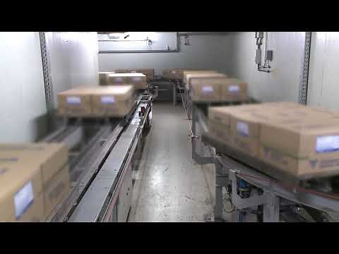 BGS Beta-Gamma-Service | Fully automated electron beam irradiation at the Saal facility