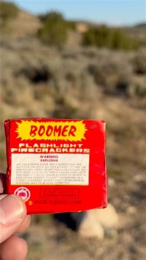 21 Days Until July 4th! - Vintage Firecracker Countdown - Boomer 1 Inch #fireworks #firecrackers