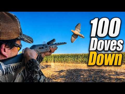 INSANE Dove Hunting | Dove Opener Is Here! | 60 Mins of Action