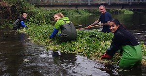 Visit Greenwich Peninsula Ecology Park