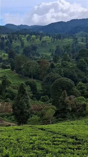 salah satu keindahan alam bandung selatan