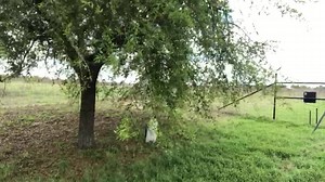 14K views · 892 reactions | Marcus Luttrell on Reels | Facebook