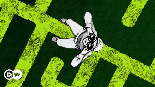 Energy crisis: The comeback of coal in Germany? – DW – 08/26/2024