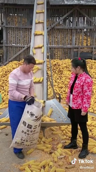Corn Processing Techniques in Action