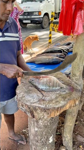 🔪 Epic Tilapia Fillet in 30 Seconds! Pro Cutting Skills #shorts