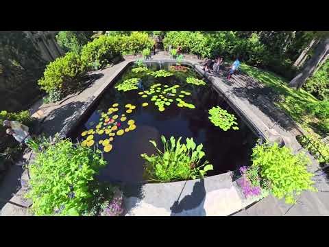 Peaceful Walking Tour at Winterthur Gardens Estate