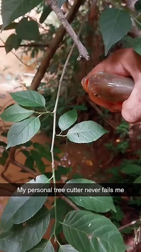 Memes by Michael on Instagram: "And he doesn't need any batteries either! - Credit: tt cacadordeaimaras"