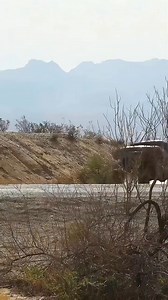 Pushing off-road limits #baja1000 | DNTphoto