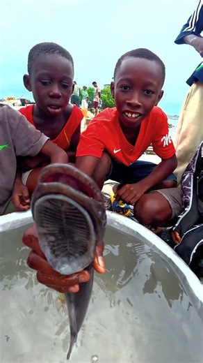 The Hitchhiking Fish!