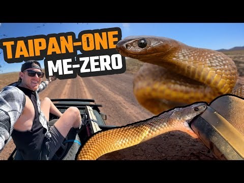 CLOSE CALL WITH THE WORLD'S MOST VENOMOUS SNAKE | INLAND TAIPAN, KING BROWN & MORE | OUTBACK QLD EP1