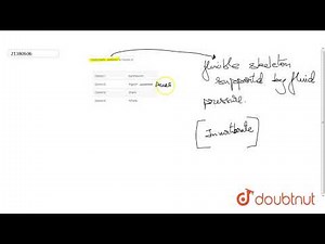 Hydrostatic skeleton is found in