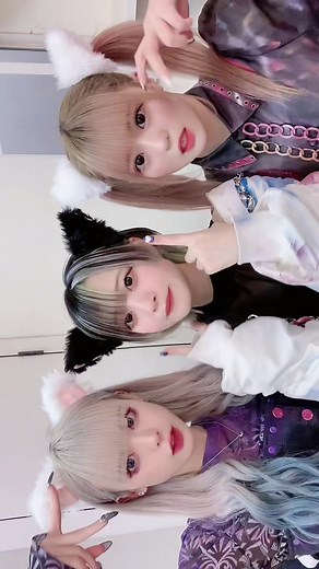 猫の日：かわいいアイドルたちの特集