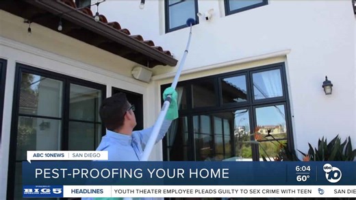 Heat is driving pests into homes. Here's how to keep them away