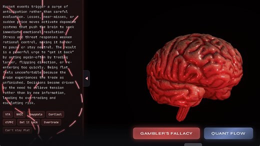 Productive Flow States Within Logistics and Neuroscience Frameworks