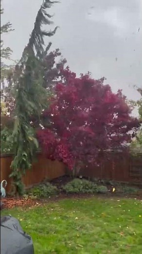 Strong winds captured in western Washington during powerful storm