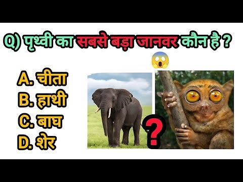 GK Question | GK in Hindi | GK Question Answer | GK Quiz | BR GK Study @brgkstudy5858