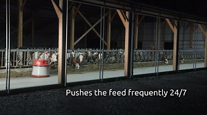 15K views · 187 reactions | Taking feed pushing to the next level The new Lely Juno feed pusher is the most versatile feed pusher on the market. It can be used in almost any type of barn without modifications. The Juno follows walls and fences on both sides, while metal guiding strips on the floor drive it towards the charging station and, if necessary, to other barns. #Lely #Juno #SmartFeeding | Lely | Facebook