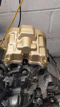 Aprilia Tuono Silver or Gold