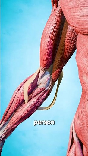 What Double-Jointed Actually Means 🤔