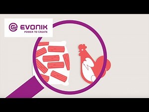 Best quality for your business - MetAMINO® | Evonik