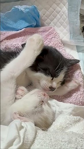 Ghost 1990 Movie love scene ゴースト ニューヨークの幻のラブシーン