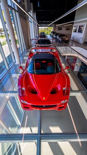 224 reactions · 35 shares | Prancing Horse of Nashville, a place where dreams are realized and holiday wishes granted. #PHofNash #Ferrari #Nashville #LaFerrari #Enzo #F50 #F40 #F40LM #288GTO | Prancing Horse of Nashville | Facebook