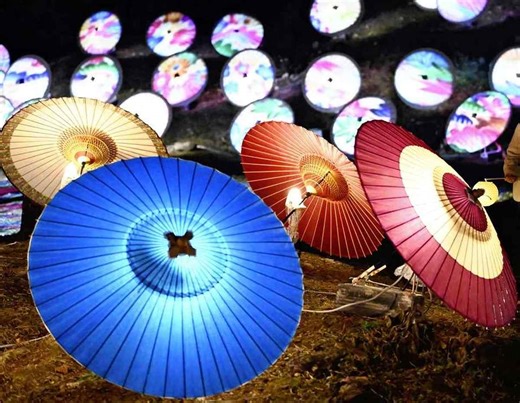 Traditional Umbrellas Illuminated in Gifu City, Projection Mapping Lights Up Park Near Gifu Castle