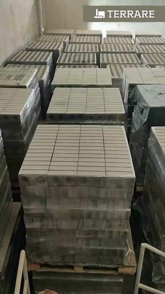 Construcción Creativa con Ladrillos Ecológicos TERRARE