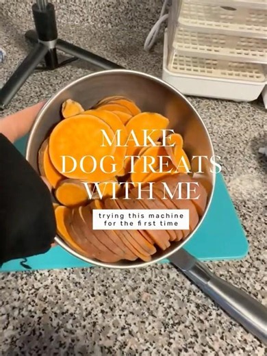 My most viral video - homemade dog treats! #rescue #homemade #dogtreats #homemadedogfood