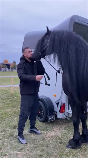 Nicolae Campeeanu on Instagram: "Animalele ne învață să iubim cu adevărat 🐴❤️ #horse #horses #horsesofinstagram #equestrian #horseriding #pony #equine #pferd #equestrianlife #dressage #horselove #reels #love #horselover #showjumping #cheval #photography #horselife #nature #foryou #fyp #america #pets #caballos #riding #horsebackriding #cavalo #horsephotography #pferdeliebe #instagram Rio Dragos 🤝"