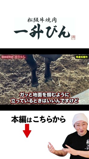 Hoof care is crucial for Matsusaka cattle!! #CattleFarmer #ExclusiveCoverage