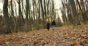 Rear view couple walking in the forest holding hands