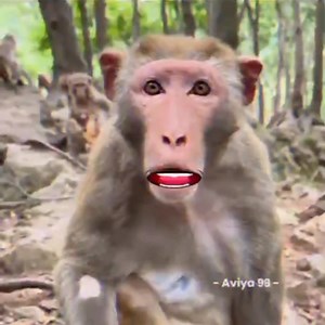 203K views · 9.3K reactions | Credits goes to the Creator : | Archie | Facebook