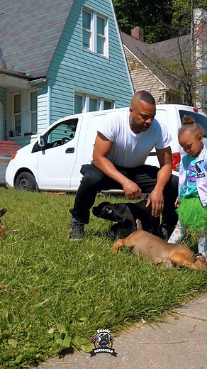 Training Boerboel puppies isn’t easy—it’s a real challenge 💪🏾. It takes dedication, daily effort, and consistent structure. These pups are strong-willed and incredibly smart, so staying one step ahead is key 💯. Put in the work, and the bond that forms is something special.❤️ #friyay #fridayvibes #tgif #feature #mastiff #dogs #boerboel #boerboelsofinstagram #southafricanboerboel #boerboels #boerboelpuppy #boerboellove #boerboelmastiff #boerboellife #boerboelmoments #boerboelfans #boerboelofins